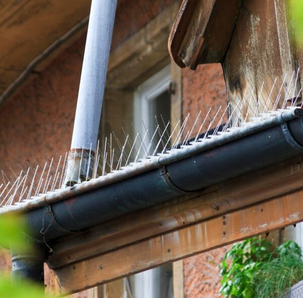 Gutter Covers Gutter Covers