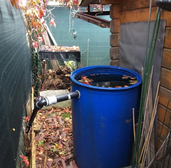 Rain Barrel Installation Service in Anaheim, CA