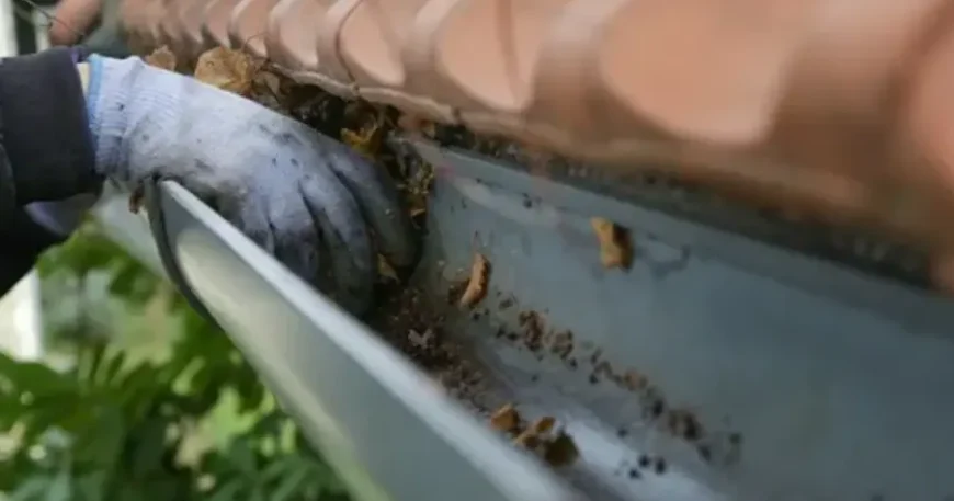 clogged gutters in Anaheim CA
